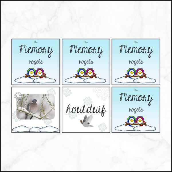 Memory vogels in de winter