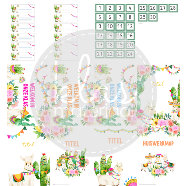 Klasthema watercolor lama & cactus - Afbeelding 4