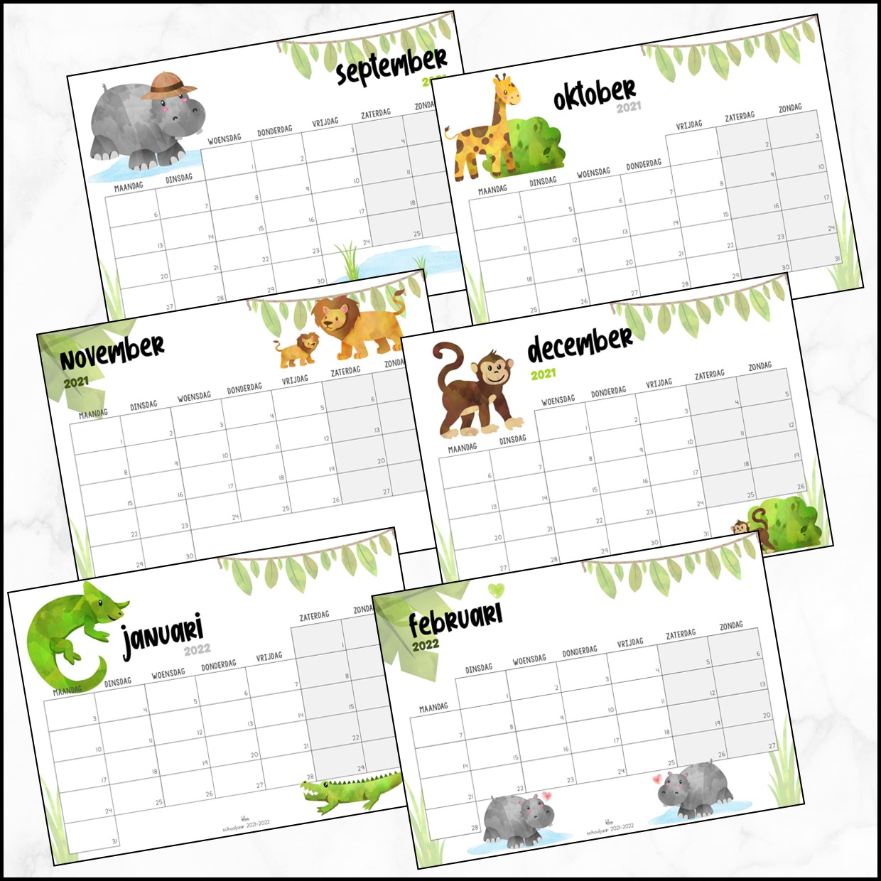 schors kleur Dinkarville Maandkalender jungle 2022 - 2023 ·