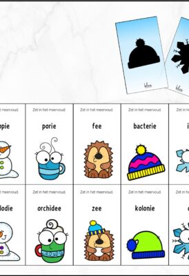 Schaduwspel – meervouden met een trema