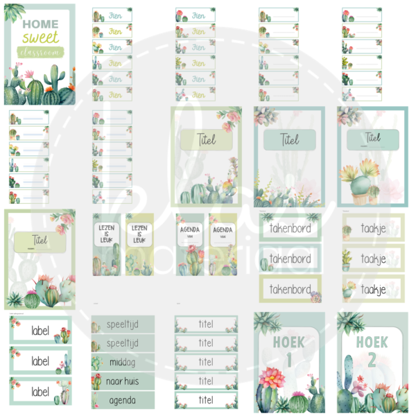 Klasthema cactus soft colors - Afbeelding 2