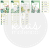 Klasthema cactus soft colors - Afbeelding 3