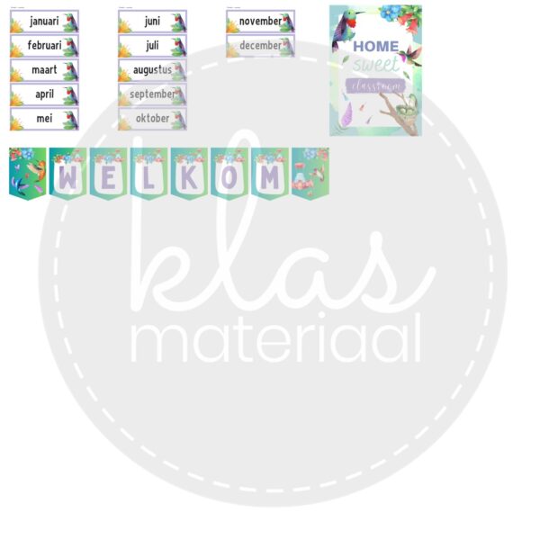 Klasthema kolibries - Afbeelding 4