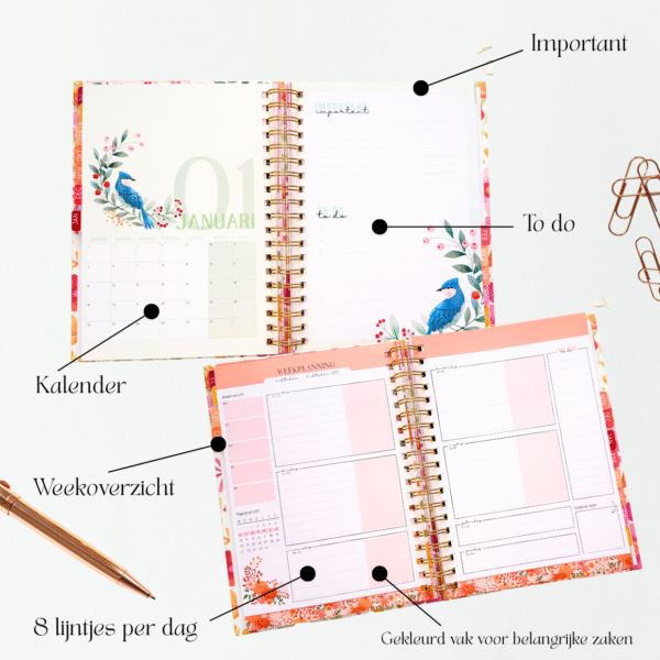 Lerarenagenda Happy Planner Colorful Vibes 2025-2026 - Afbeelding 6