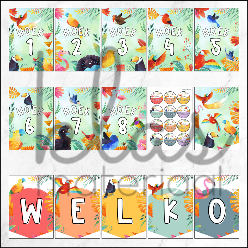 Klasthema colorful birds - Afbeelding 3