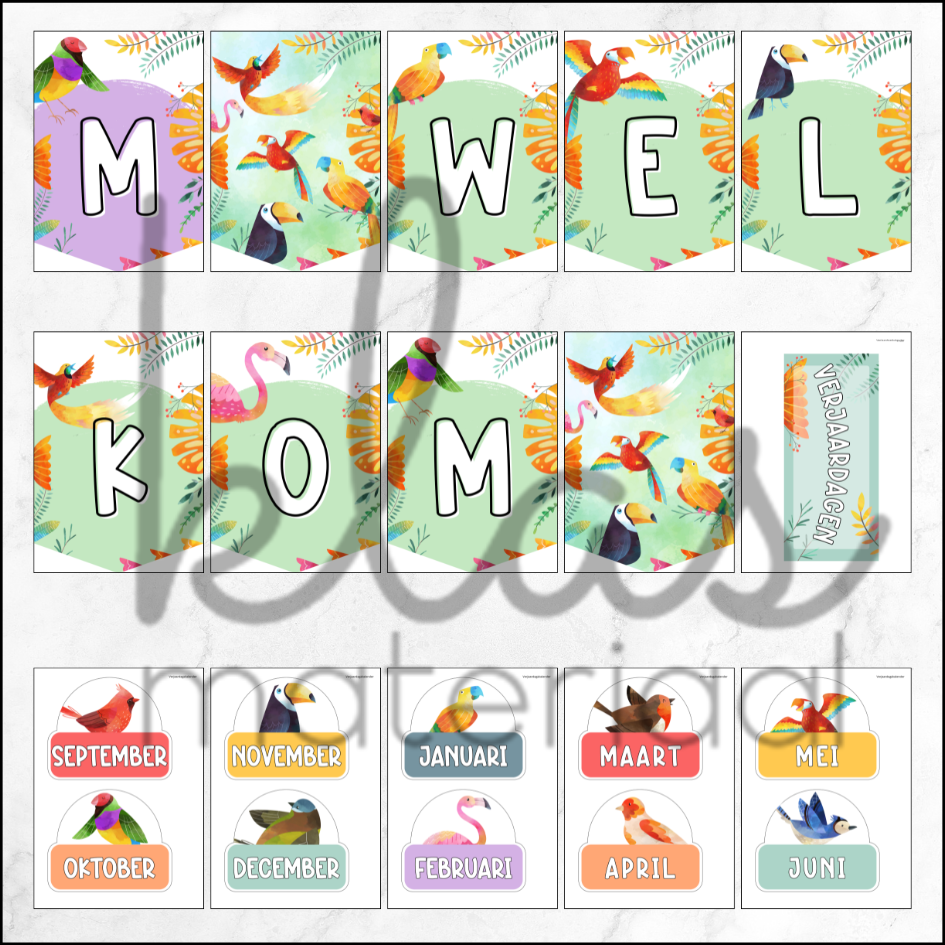 Klasthema colorful birds - Afbeelding 4
