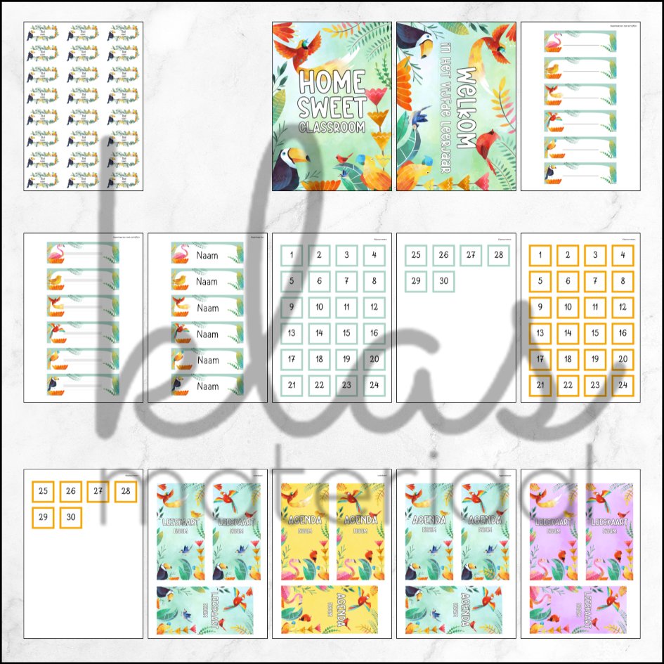 Klasthema colorful birds - Afbeelding 2