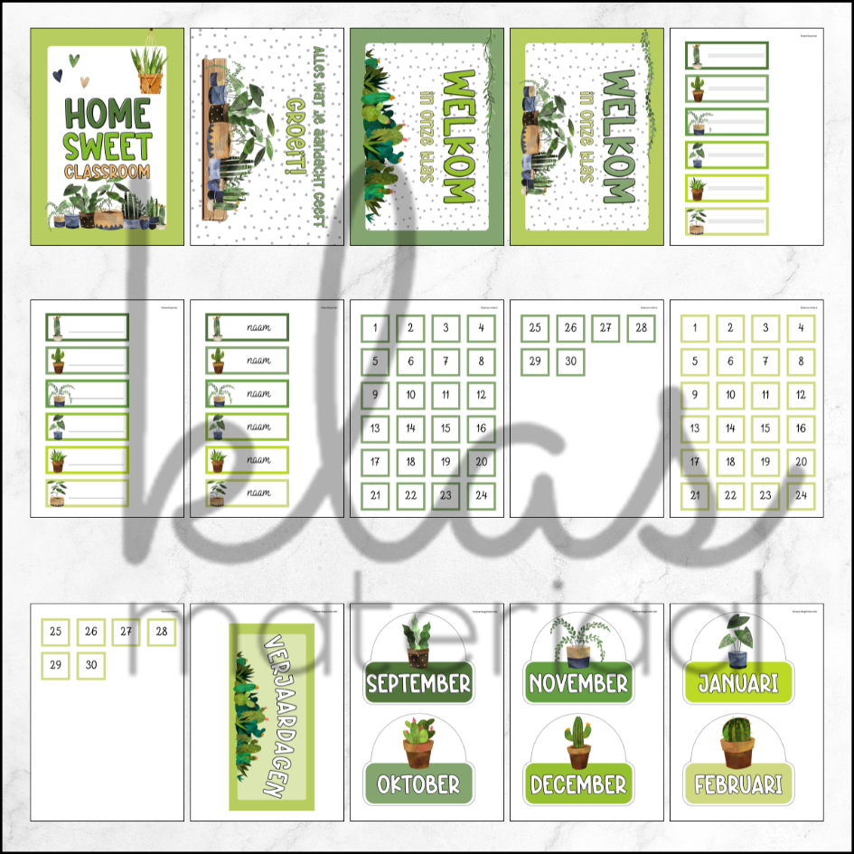 Klasthema kamerplanten - Afbeelding 2