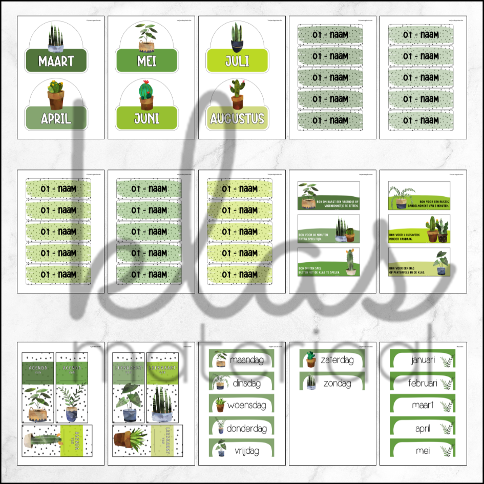 Klasthema kamerplanten - Afbeelding 3