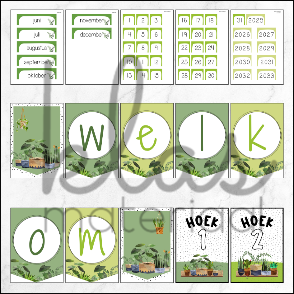 Klasthema kamerplanten - Afbeelding 4