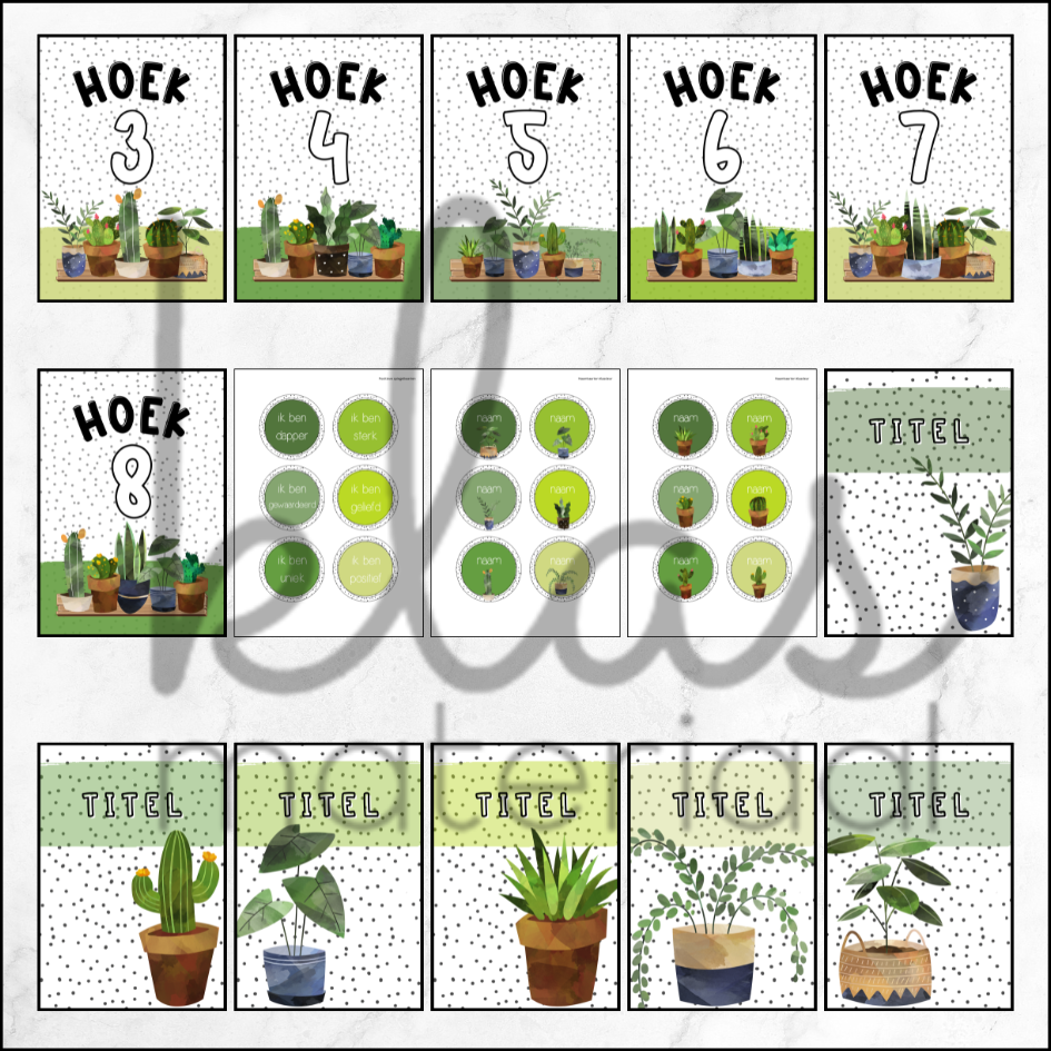 Klasthema kamerplanten - Afbeelding 5