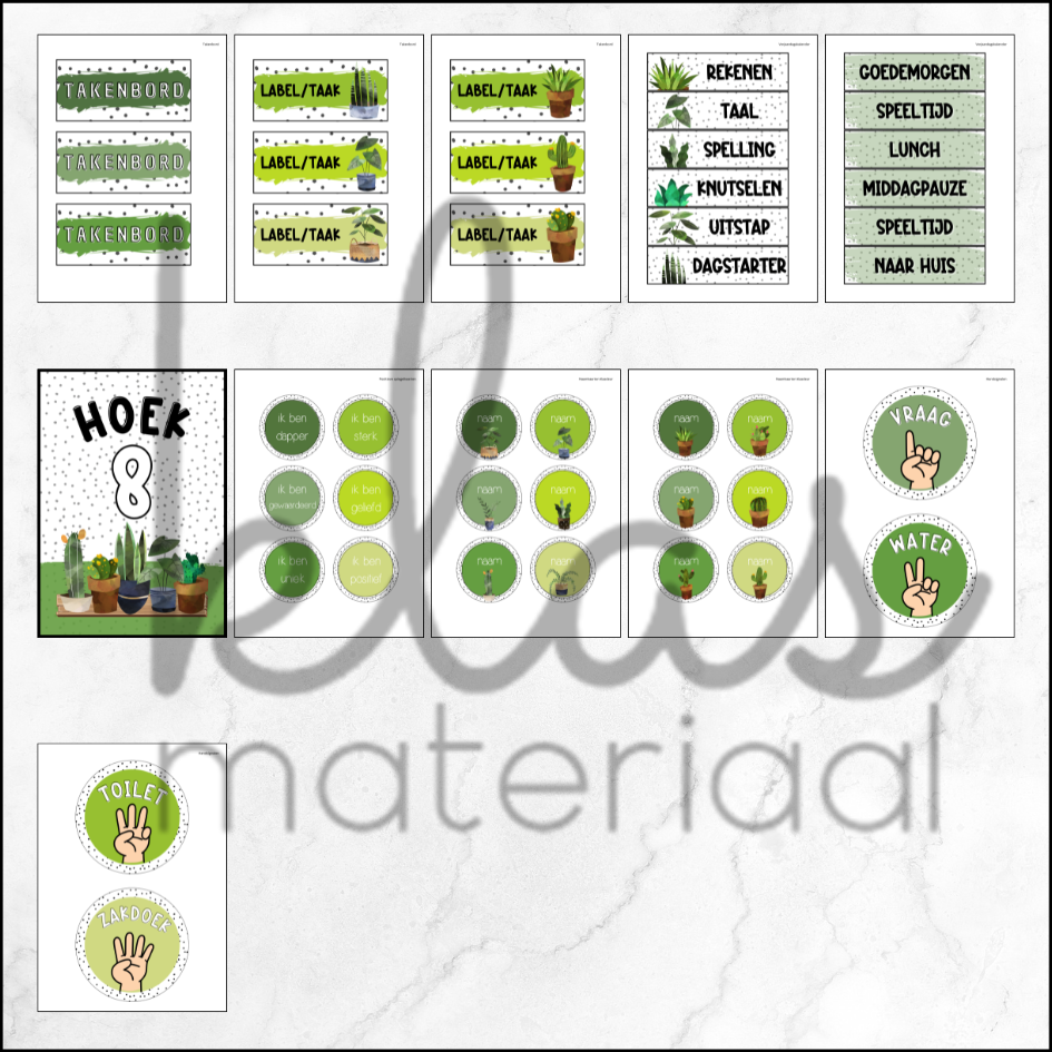 Klasthema kamerplanten - Afbeelding 6